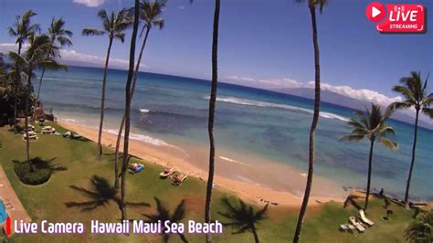 【LIVE】 Live Cam Maui